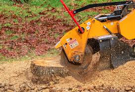 Best Arborist Consultation Services  in Los Gatos, CA